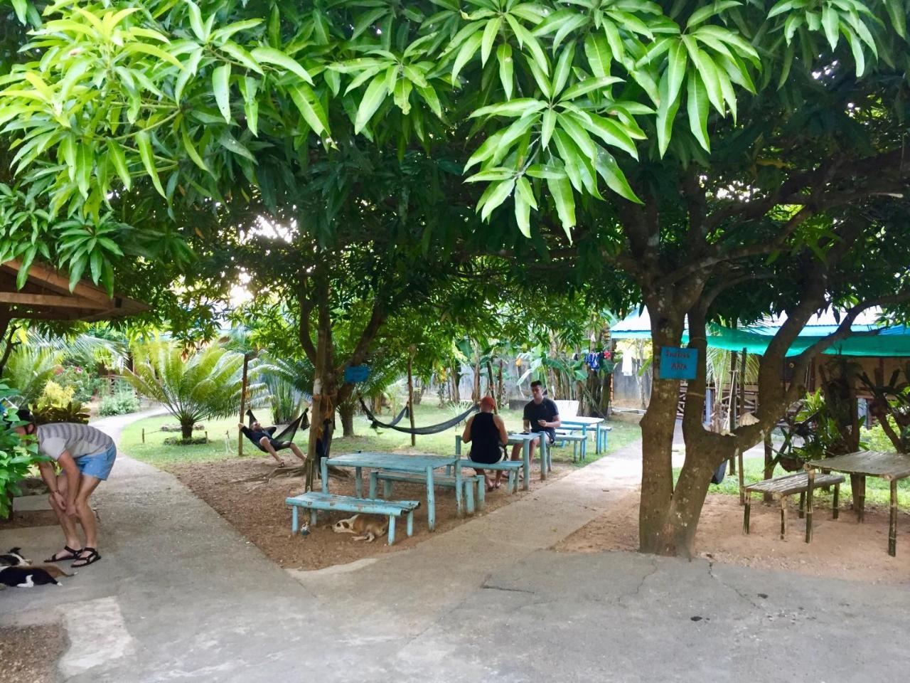 Fat Monkey Hostel Coron Esterno foto